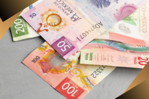 Impuestos en México: obligaciones fiscales para personas físicas y morales