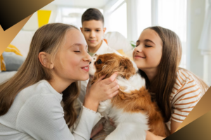 Seguro para mascotas en España: todo lo que necesitas saber antes de contratar uno