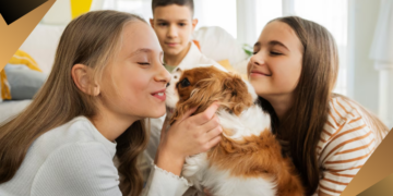 Seguro para mascotas en España: todo lo que necesitas saber antes de contratar uno